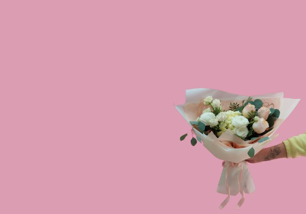 PRIMAROSA background