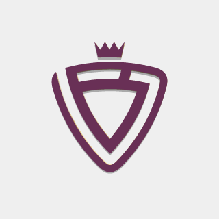 Школа-студия «Виктория»  logo