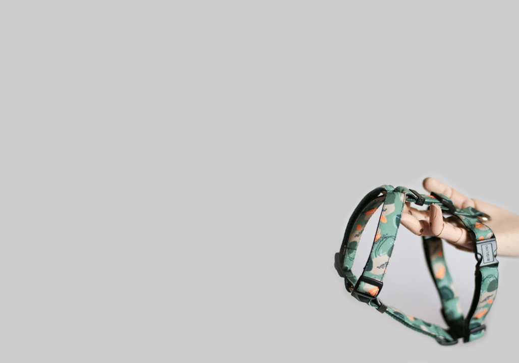 BIGLINI background