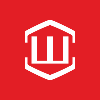 Шингрупп logo