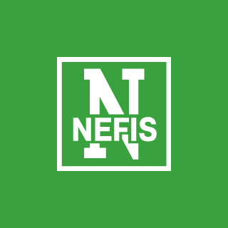 Nefis Cosmetics logo